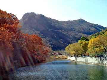 新澳门二四六天天彩，本田飞度论坛